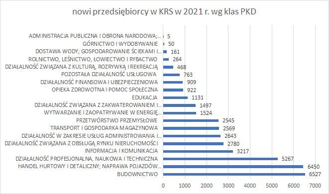 nowe firmy w KRS wg klas PKD 2021 r. 