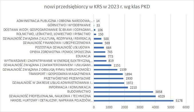 nowe firmy w KRS wg klas PKD 2023 r. 