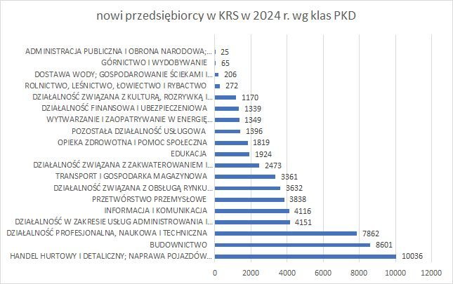 nowe firmy w KRS wg klas PKD 2024 r. 