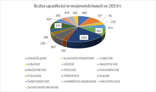 upadłość konsumencka 2019 w województwach