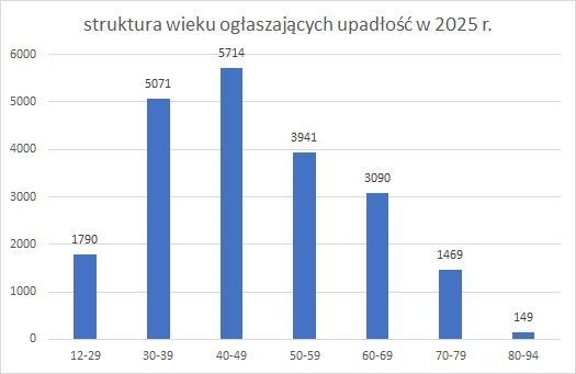 upadłość konsumencka struktura wieku 2025 r. upadłość konsumencka struktura wieku 2025 r.