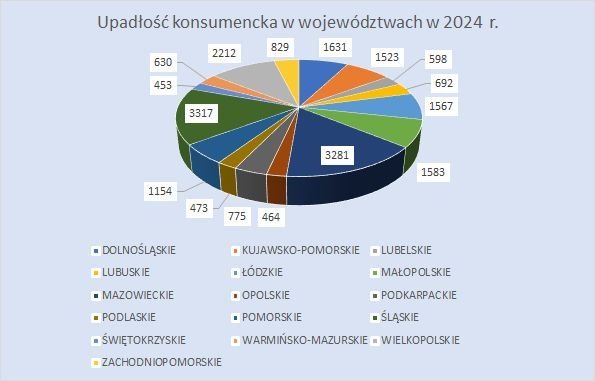 postępowania upadłościowe konsumenckie w 2024 r.