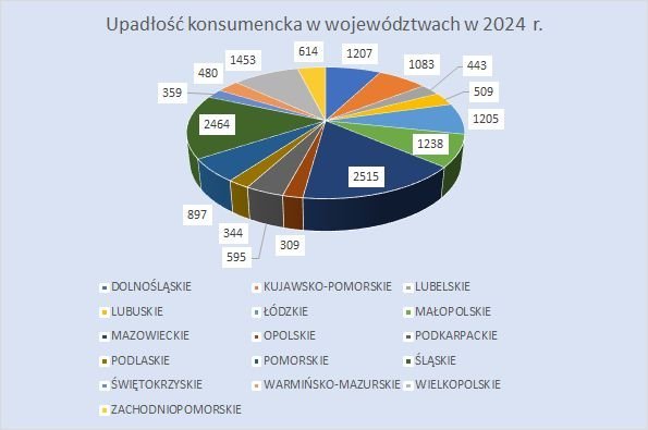 postępowania upadłościowe konsumenckie w 2024 r.