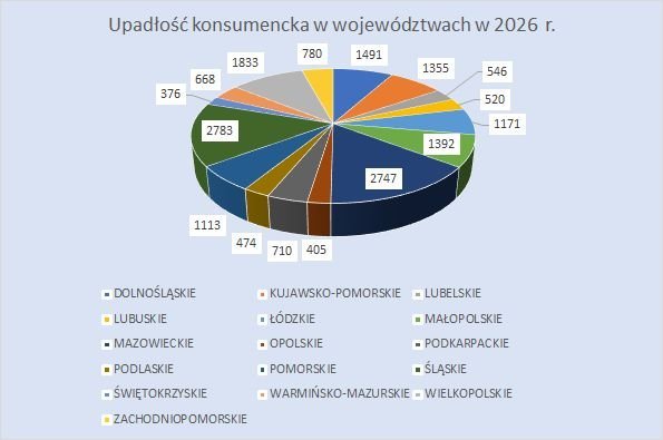 postępowania upadłościowe konsumenckie w 2026 r.