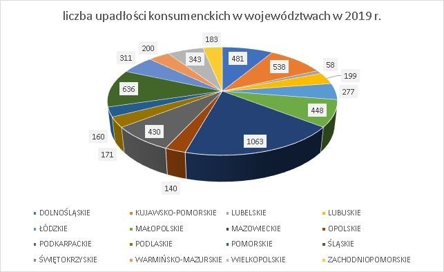 upadłość konsumencka 2019 według województwa
